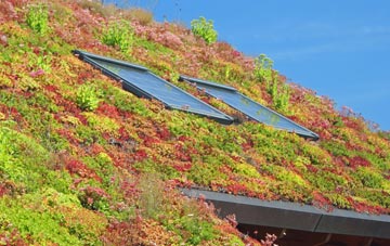 Withnell Fold living roof systems